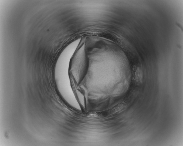 X0000098150562200805151207