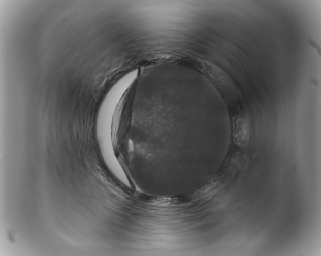 X0000098150563200805151207