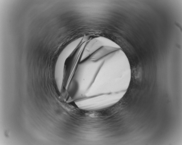 X0000098150564200805151207