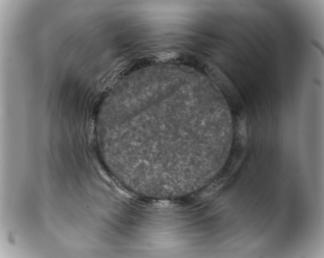 X0000098150565200805151207