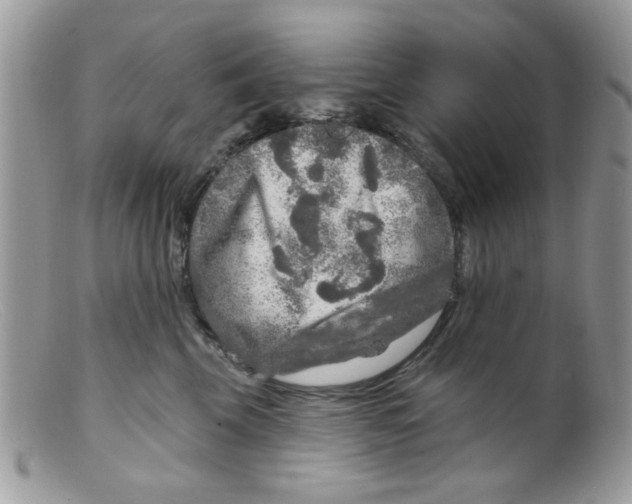 X0000098150569200805151207