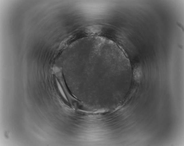 X0000098150570200805151207