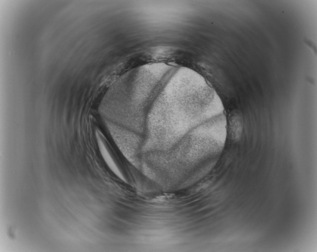 X0000098150571200805151207