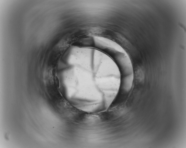 X0000098150572200805151207