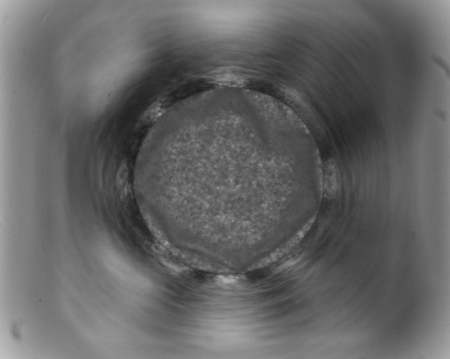 X0000098150573200805151207