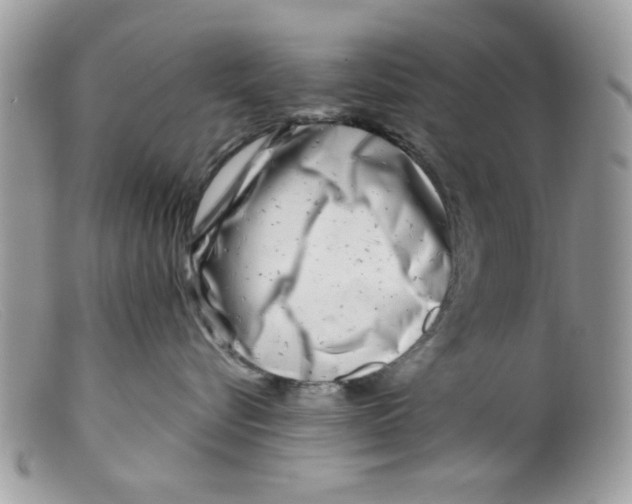 X0000098150576200805151207