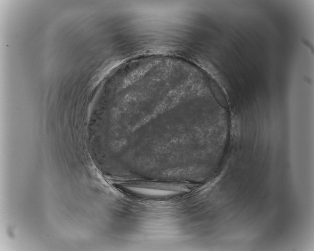 X0000098150577200805151207