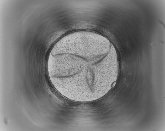 X0000098150578200805151207
