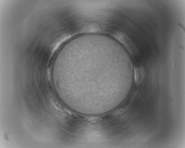 X0000098150579200805151207