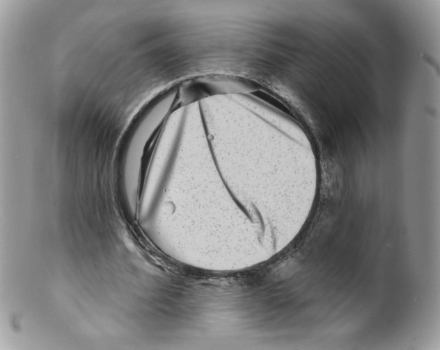 X0000098150580200805151207