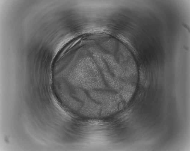 X0000098150582200805151207