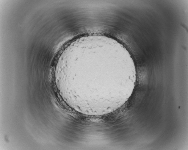 X0000098150583200805151207