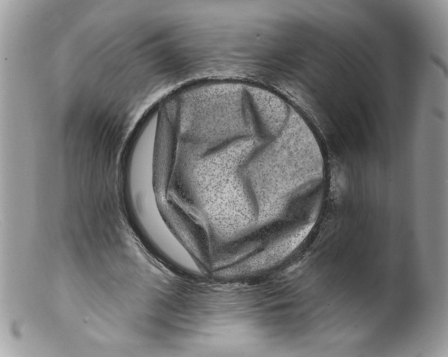 X0000098150584200805151207