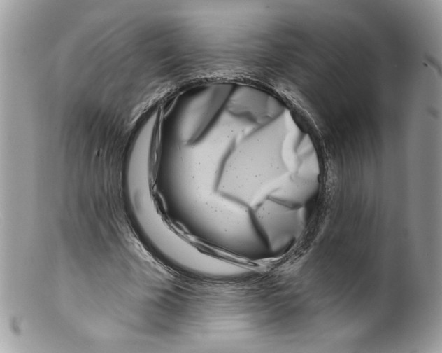 X0000098150585200805151207