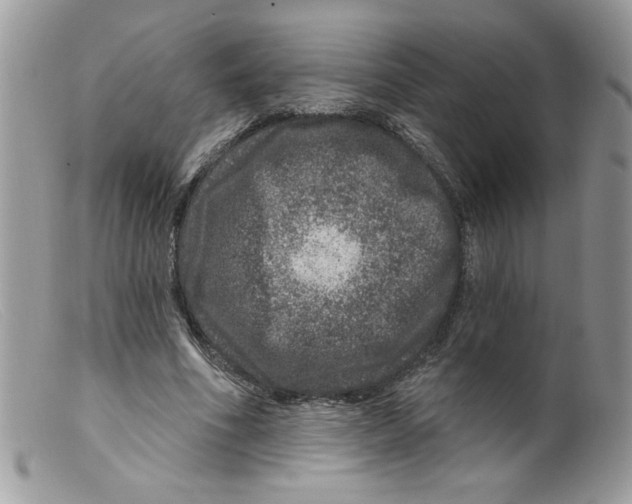 X0000098150586200805151207
