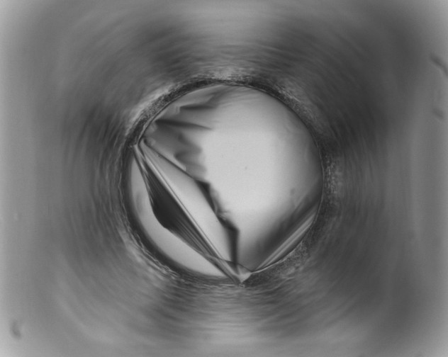 X0000098150587200805151207