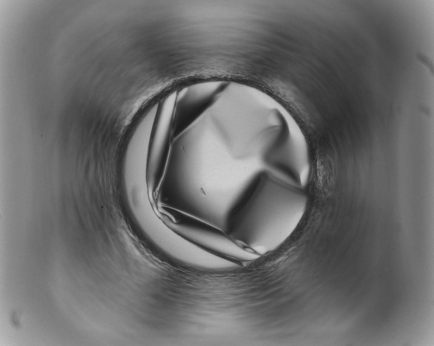 X0000098150588200805151207