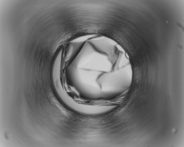 X0000098150589200805151207