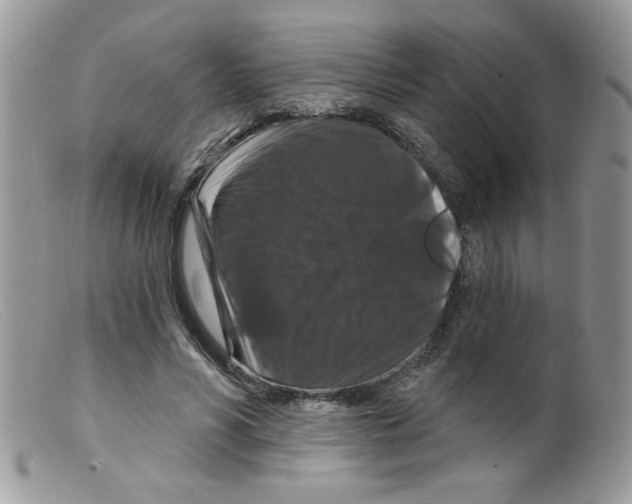 X0000098150590200805151207