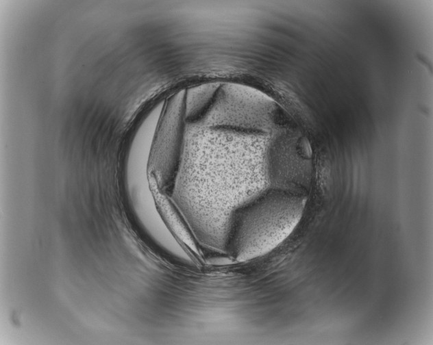 X0000098150591200805151207