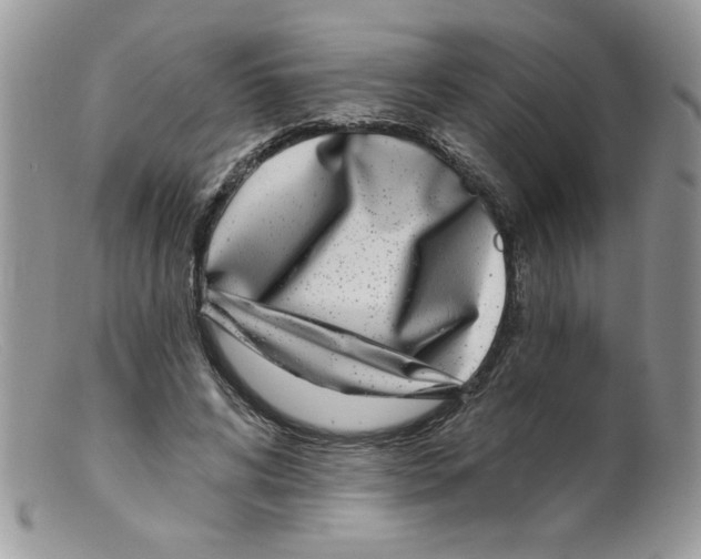 X0000098150592200805151207