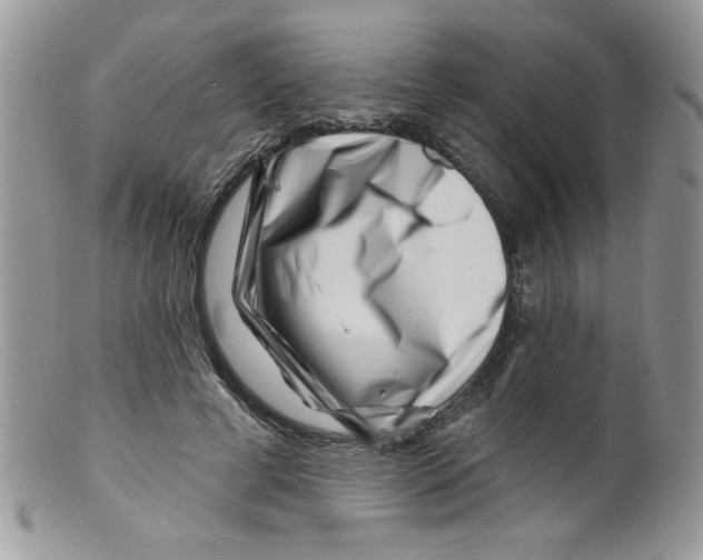 X0000098150593200805151207