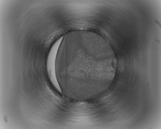 X0000098150594200805151207