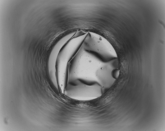 X0000098150596200805151206