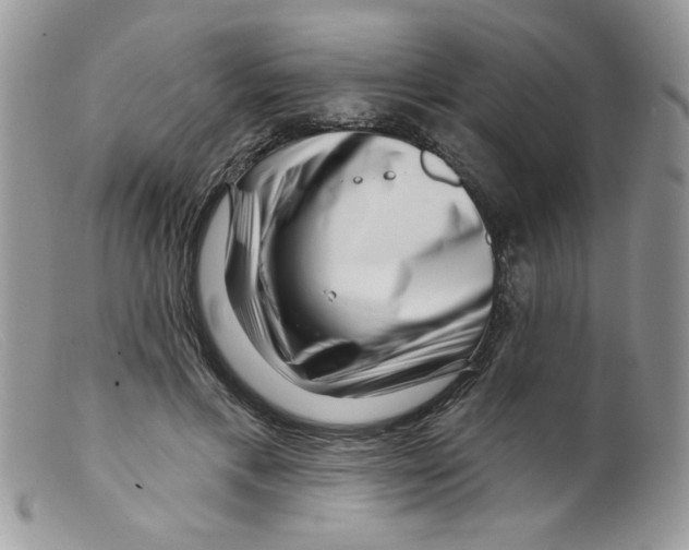 X0000098150597200805151206