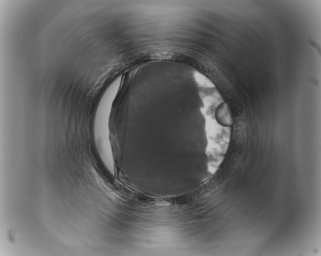 X0000098150598200805151206