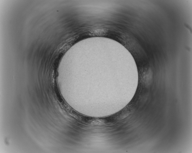 X0000098150599200805151206
