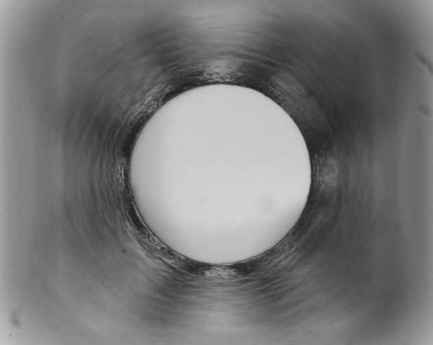 X0000098150603200805151206