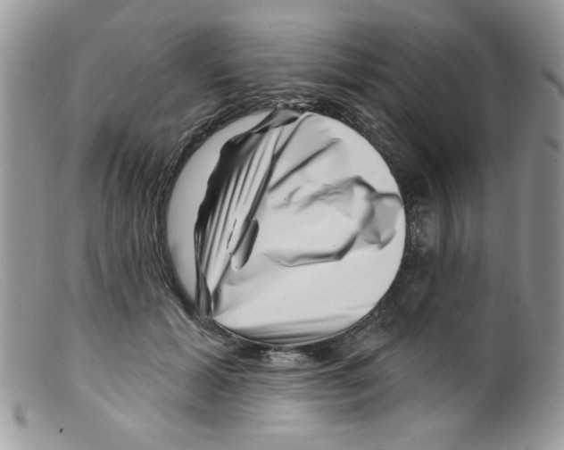 X0000098150605200805151206