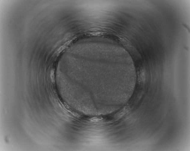 X0000098150606200805151206