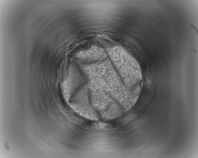 X0000098150607200805151206