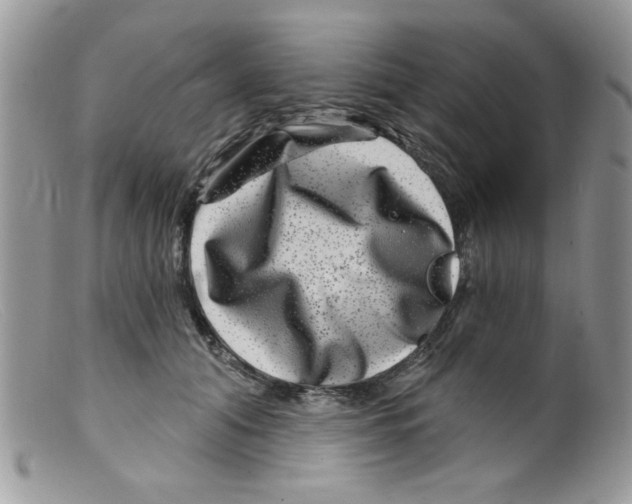 X0000098150608200805151206
