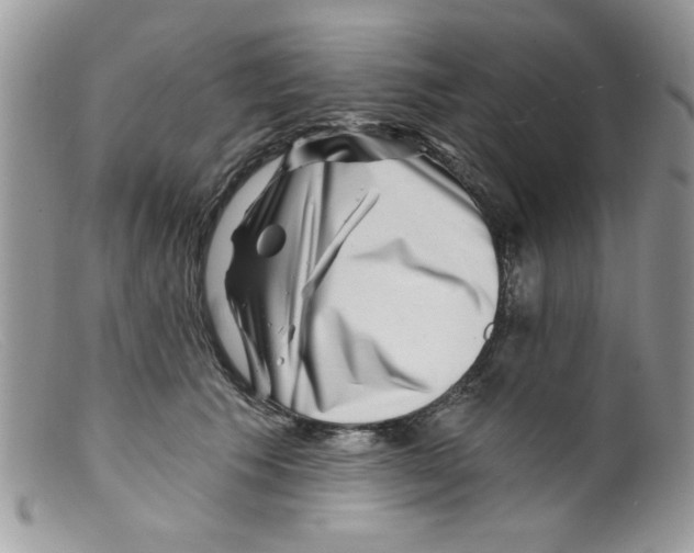 X0000098150609200805151206