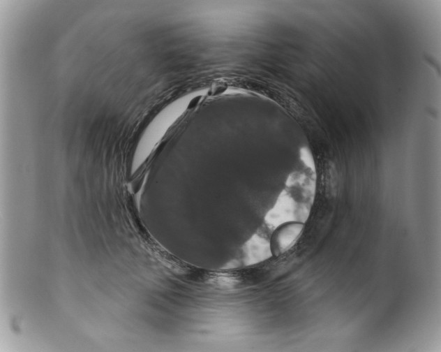 X0000098150610200805151206