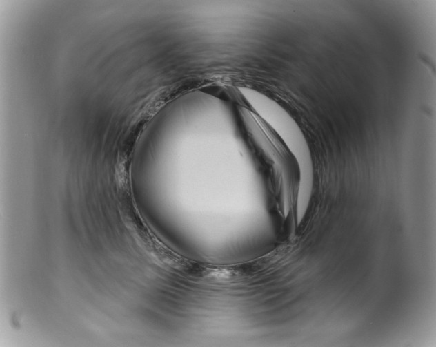 X0000098150611200805151206