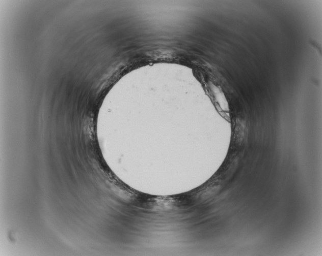 X0000098150612200805151206