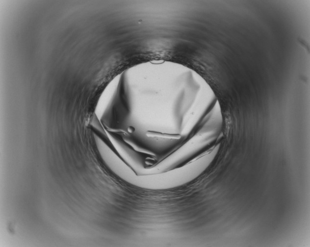 X0000098150613200805151206