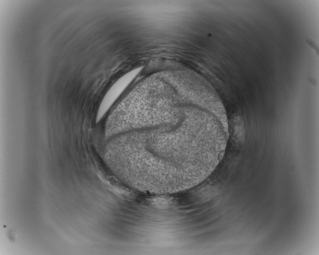 X0000098150615200805151206