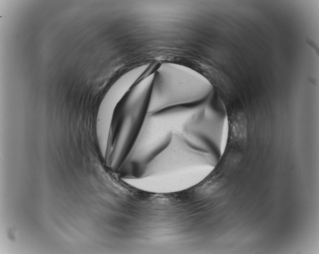 X0000098150620200805151206