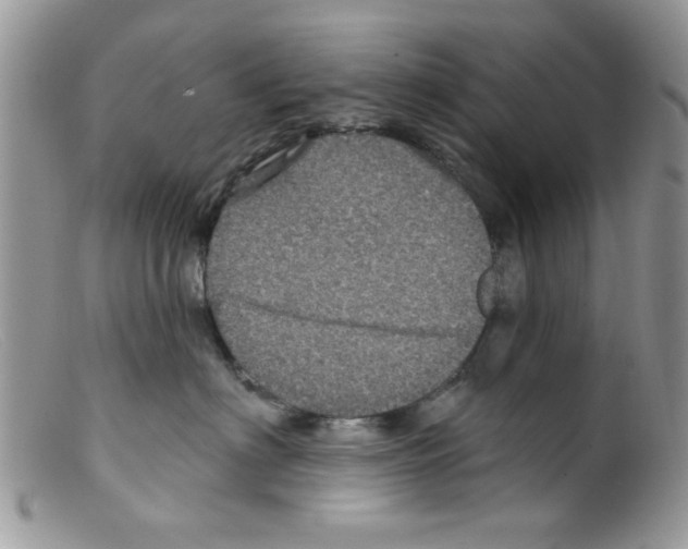X0000098150622200805151206
