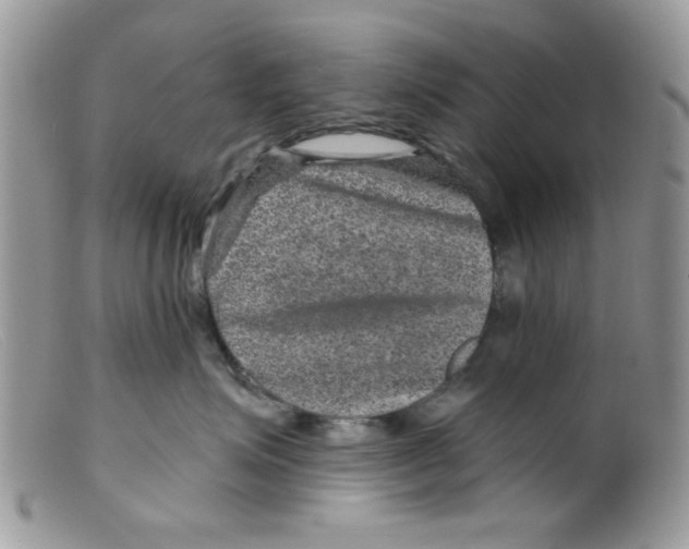 X0000098150623200805151206