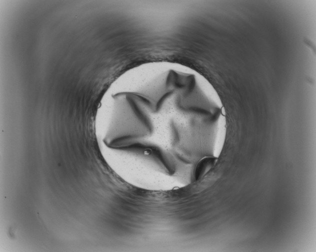 X0000098150624200805151206
