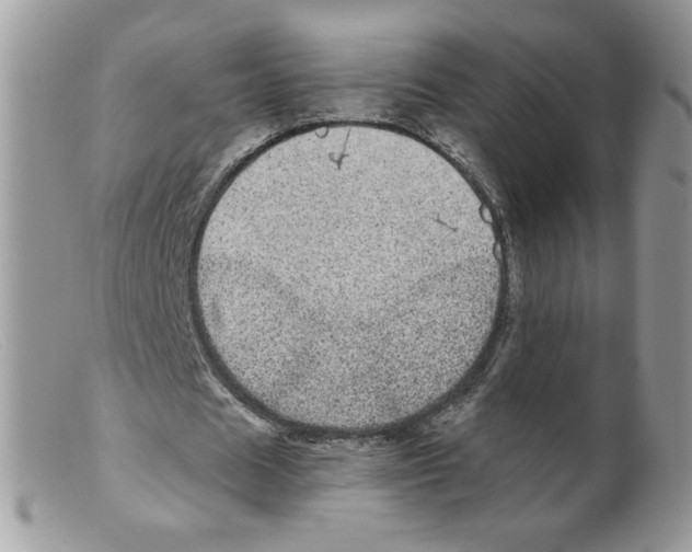 X0000098150625200805151205