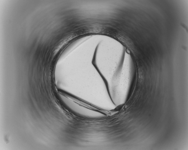X0000098150626200805151205