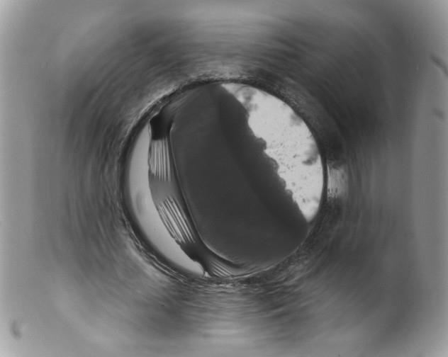 X0000098150627200805151205