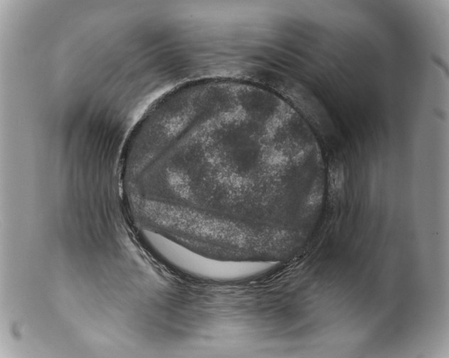 X0000098150628200805151205